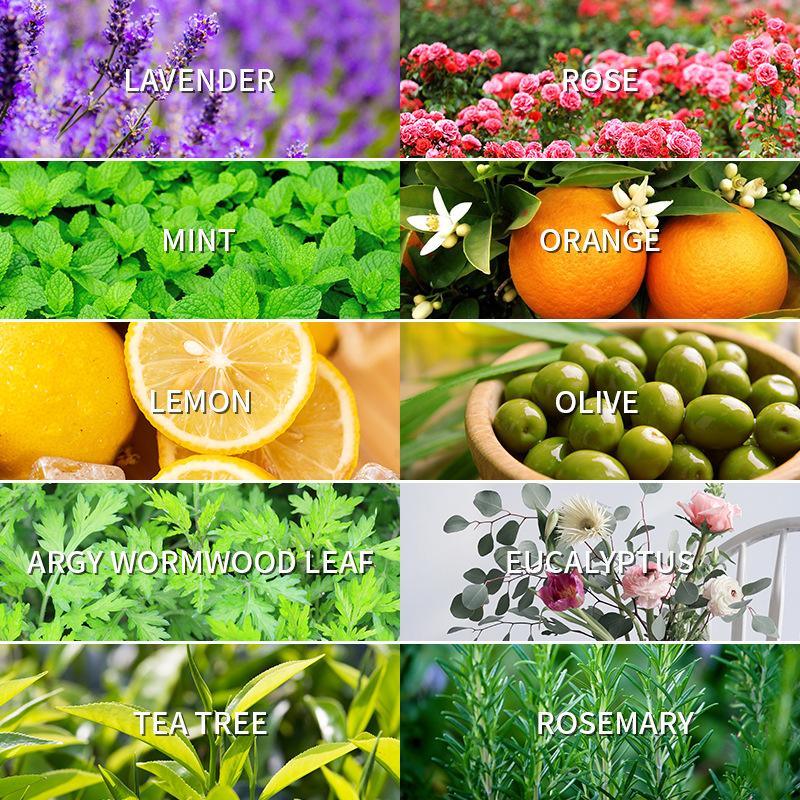 Aromatherapy Essential Oil 10m - Fragrance Oil 10Ml recensione e prezzo